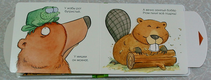 Наши новые книжки-картонки