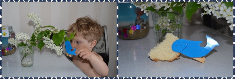 ТН Обитатели морей и океанов. День 3.