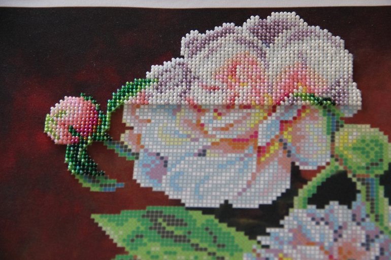 Пионы потихоньку расцветают