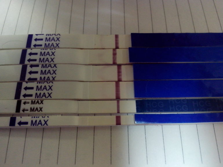 Немного юмора) Рисунки на тестах)))