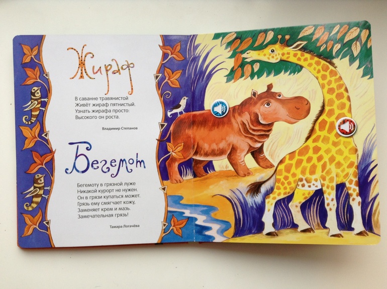 Любимая книга -