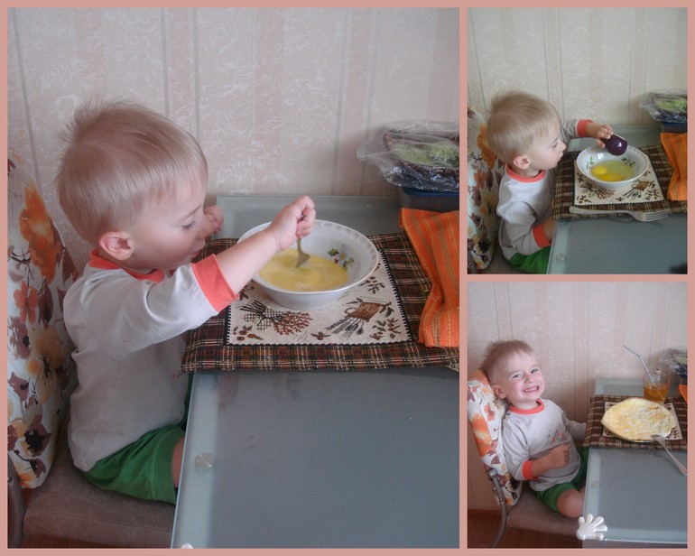 ТН Птицы Домашние птицы
