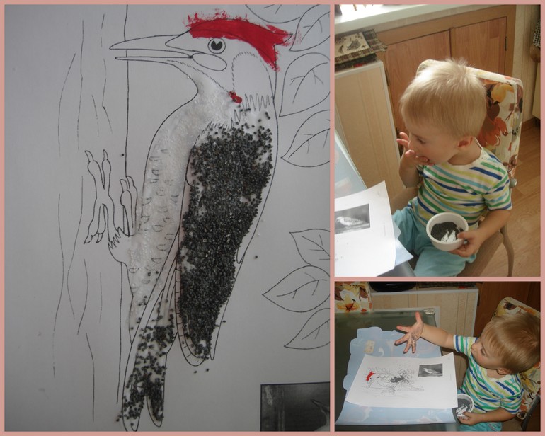 ТН Птицы Лесные и экзотические