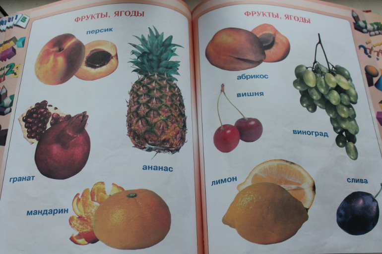 Первая книга малыша.