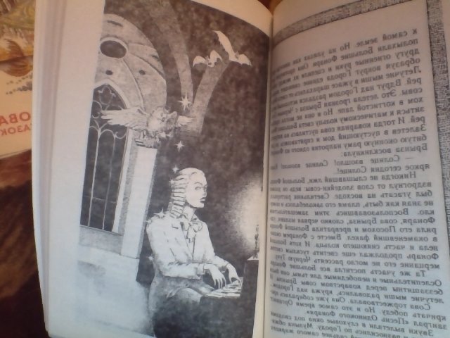 Мое пополнение