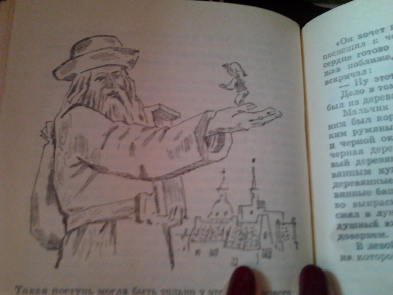 Чудесное путешествие Нильса с дикими гусями ^____^