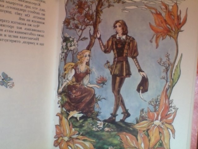 Мое пополнение