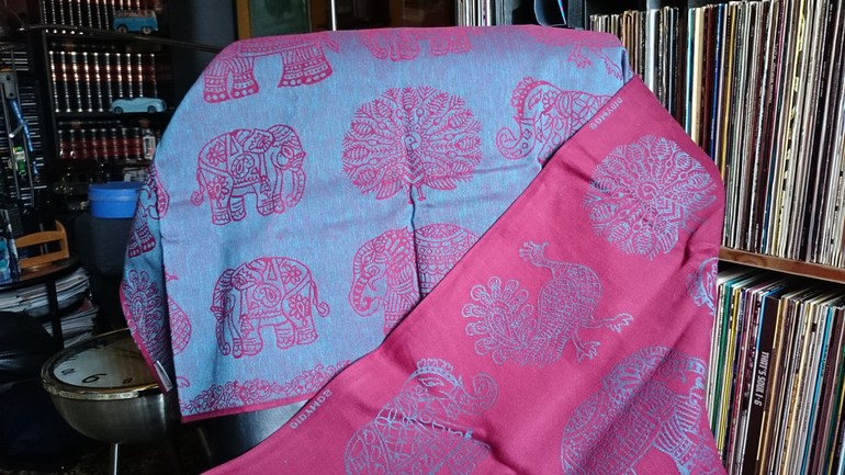 Дидимос Холи Индия