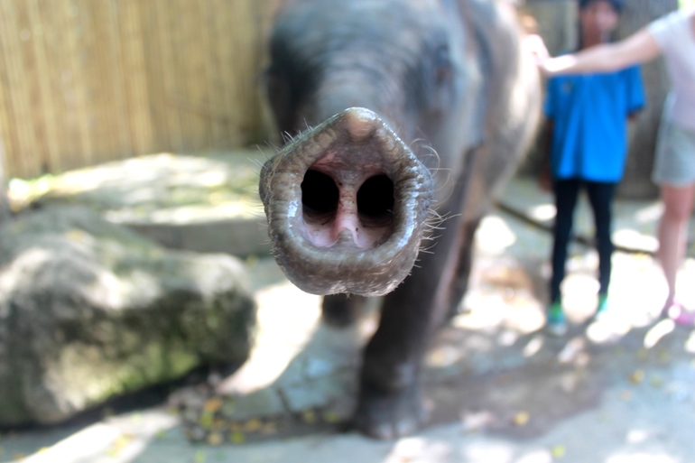 Zoo