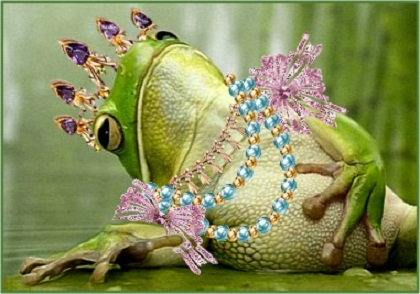 Приманочки для наших пернатых!!!)