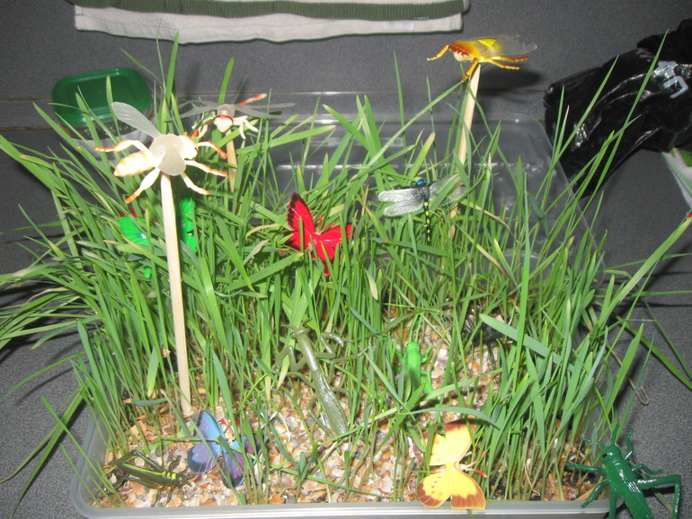 Вариант коробочки для ТН "Насекомые"