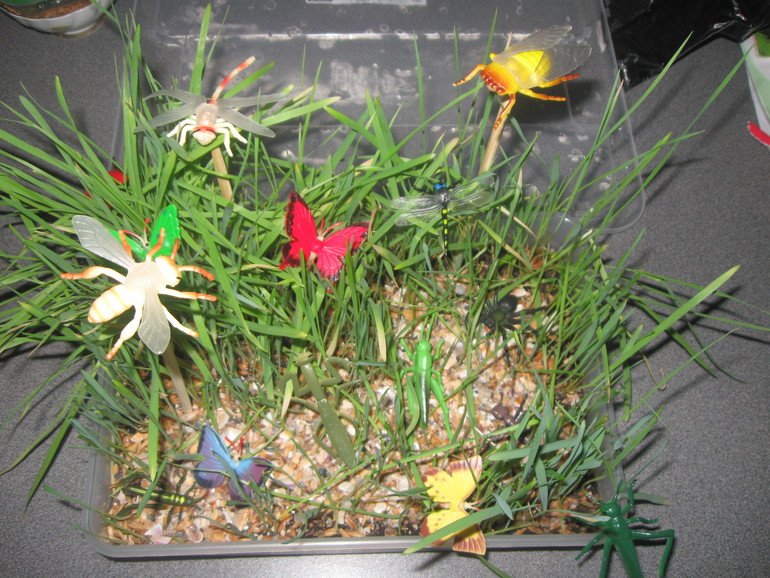 Вариант коробочки для ТН "Насекомые"