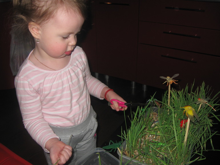 Вариант коробочки для ТН "Насекомые"