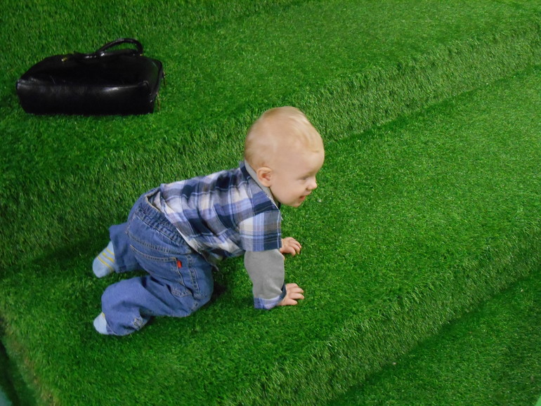 Лесное посольство)))