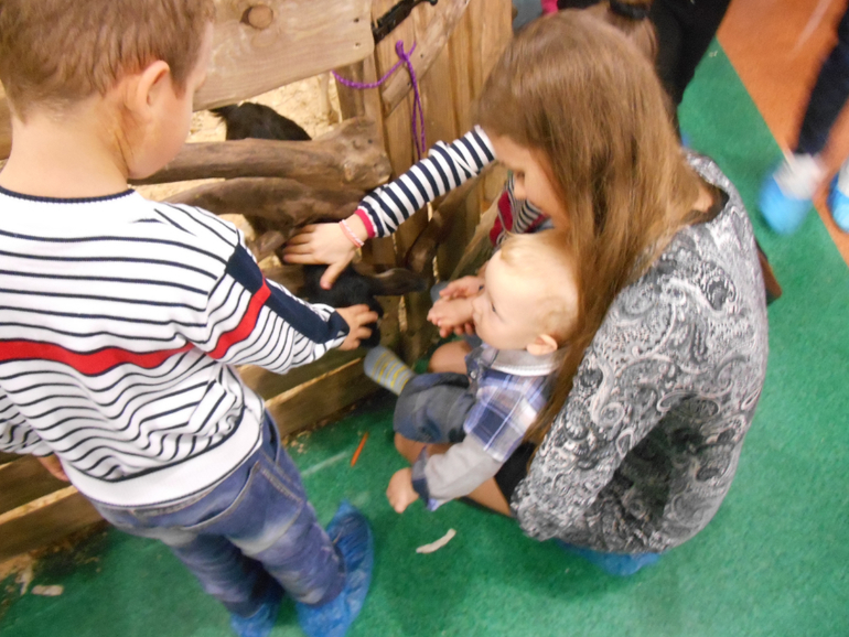 Лесное посольство)))