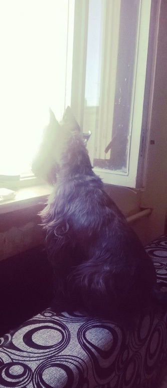 Цвержачья весна :)