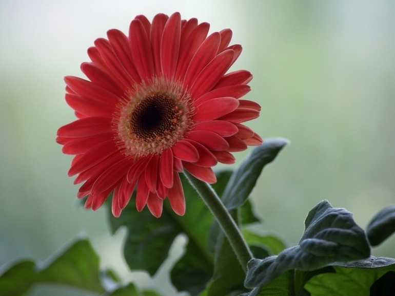 Контрольное задание № 21. Применение инструмента Света/Тени (Shadow/Highlight)