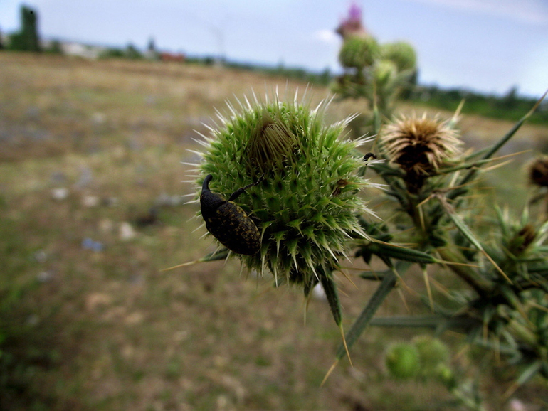 Контрольное задание № 25. "Выравниваем линию горизонта"