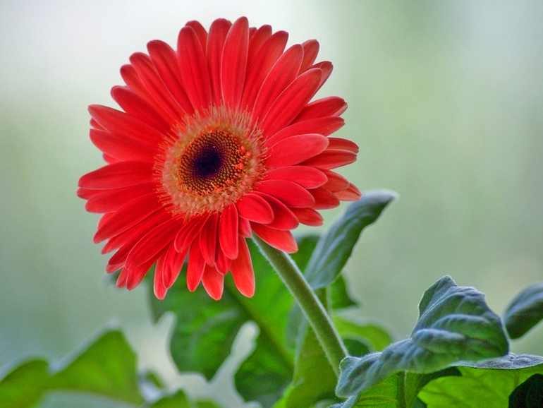 Контрольное задание № 21. Применение инструмента Света/Тени (Shadow/Highlight)