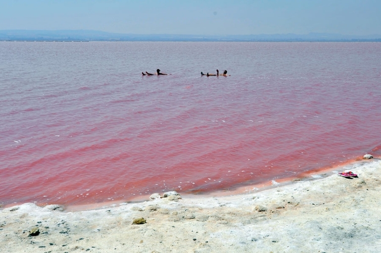 Приглашем в Торревьеху вылечить болезни органов дыхания
