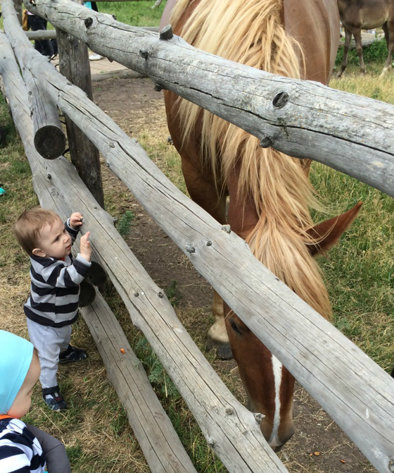 К родственникам мужа в Воронеж