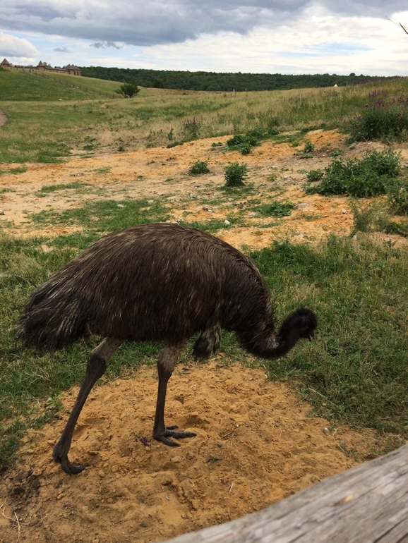 К родственникам мужа в Воронеж