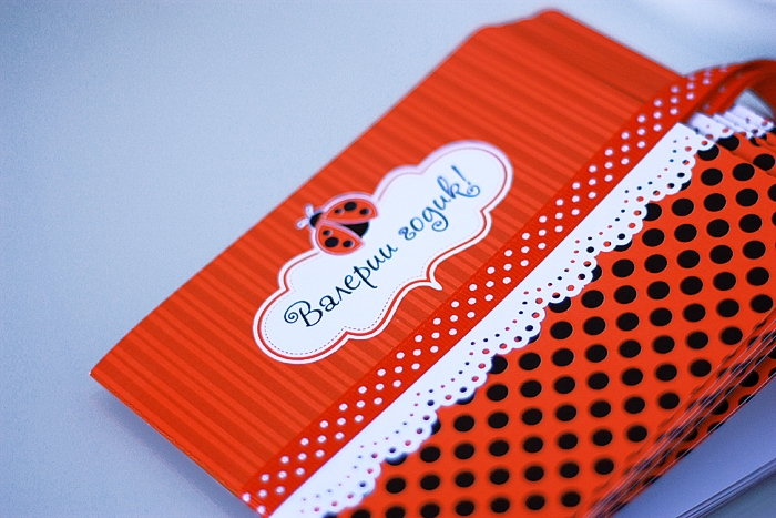 День Рождения в стиле Божьих коровок