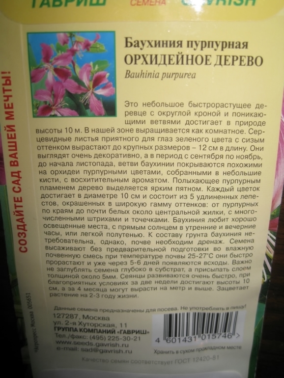 как сажать,где покупать,что посоветуете по посадке?