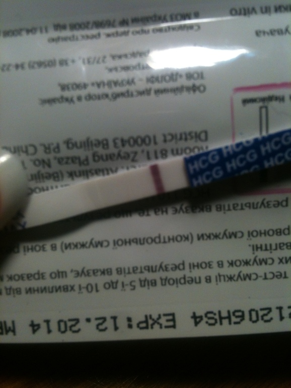 Утрений тестик!