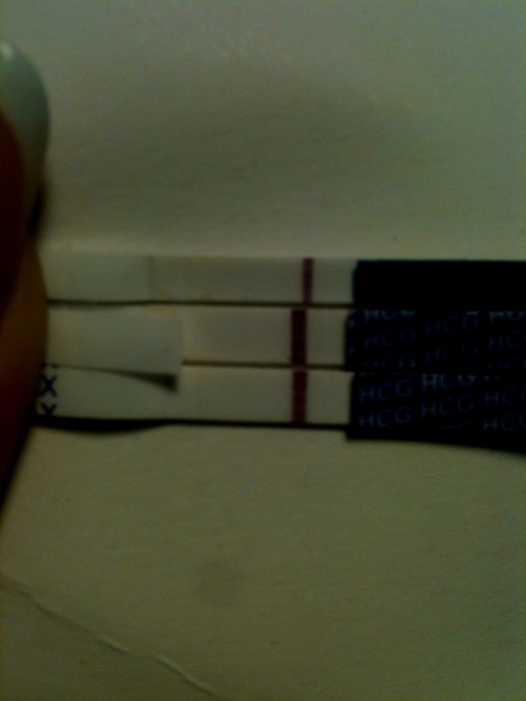 Утрений тестик!