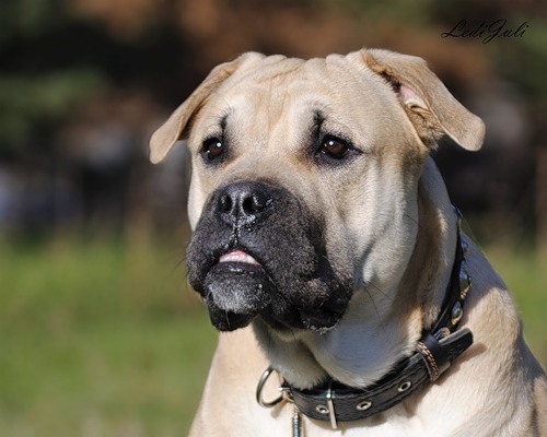 Здравствуйте!