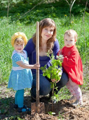 Эко-уроки с детьми