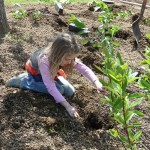 Эко-уроки  с детьми