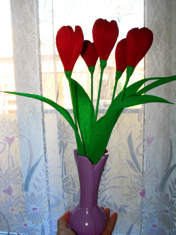 Мои первые свит-тюльпаны