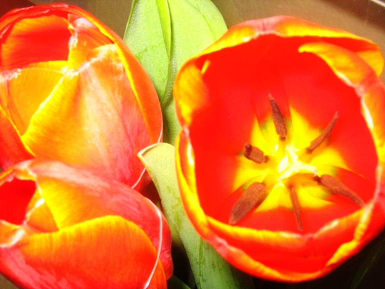 День 8. Женская тема