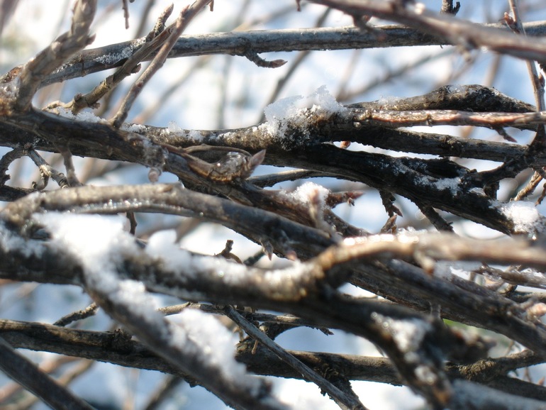 Блин блинский