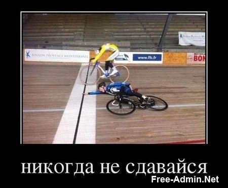 Никогда не сдавайся!