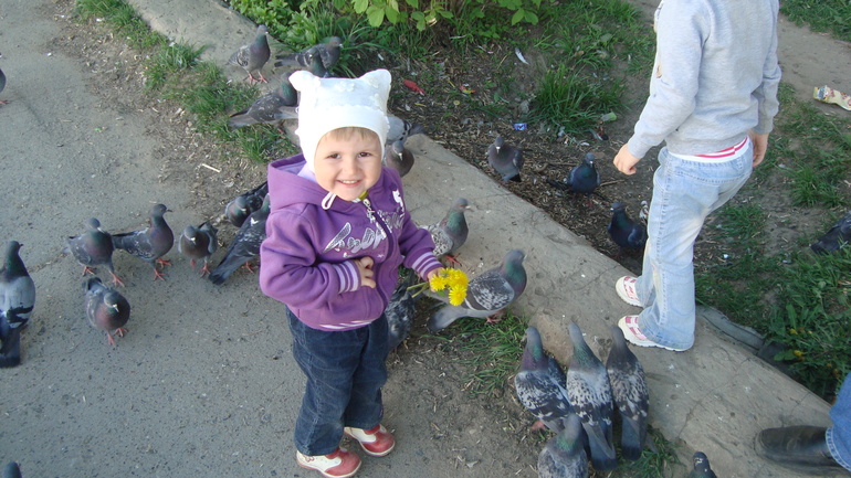 Просто прогулка