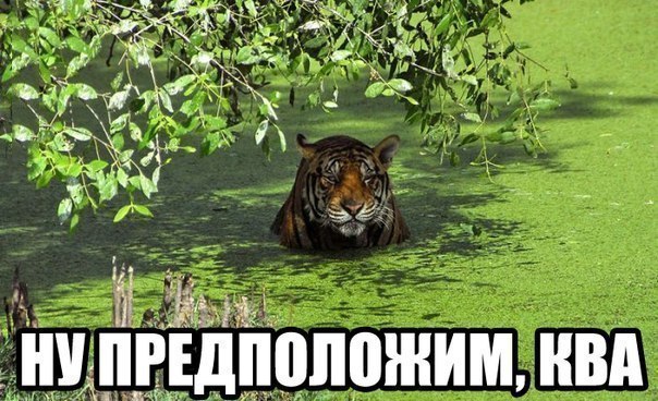 ))