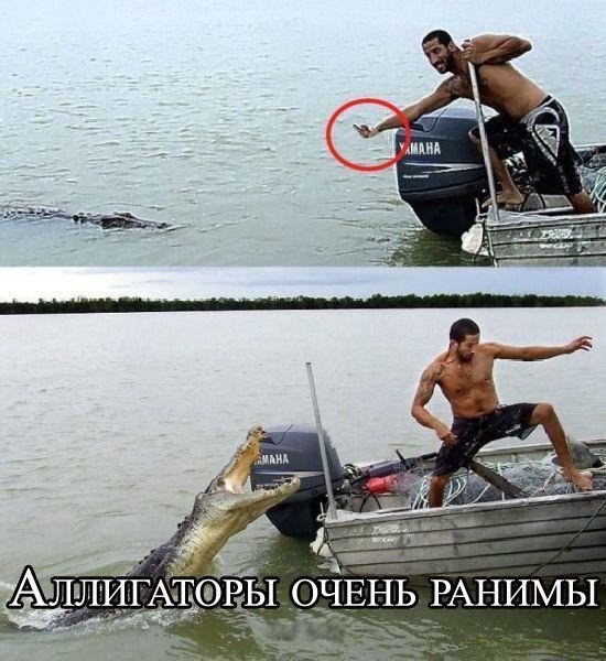 Ржала вслух)))