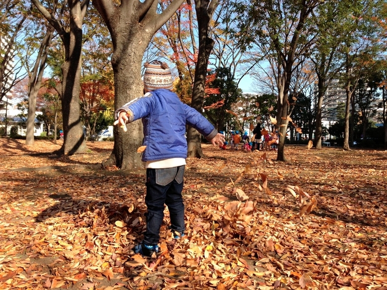 Вспоминая осень...