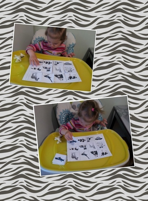 ТЗ" Какого цвета зебра?"