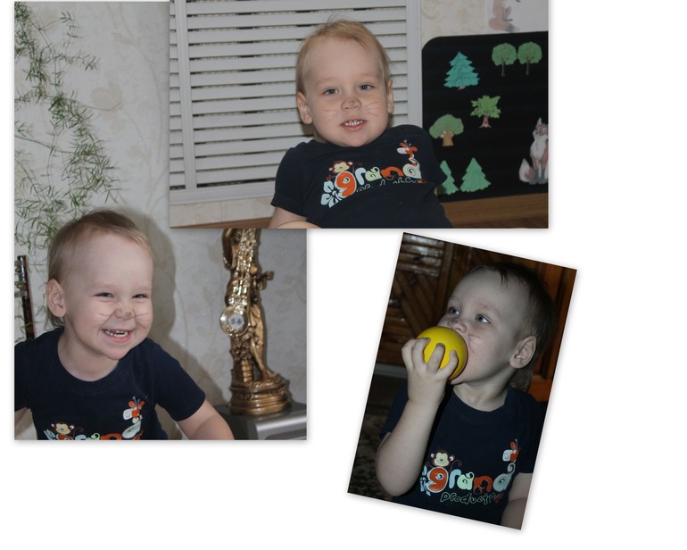 Тематическое занятие "СЫР"