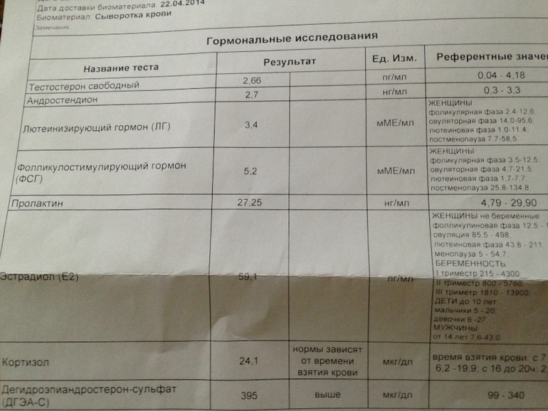 Результаты анализов