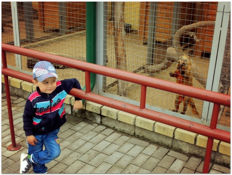 В Zoo :)