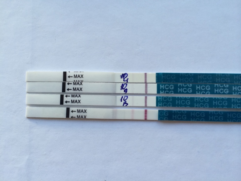 11 ДПО)))) Ярчаем)))