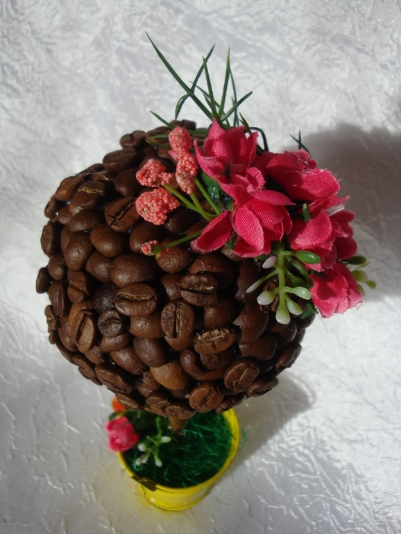 Новые кофейные деревца после долгого перерыва