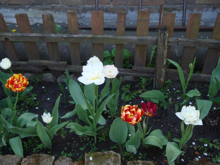 Гостим в Кировограде