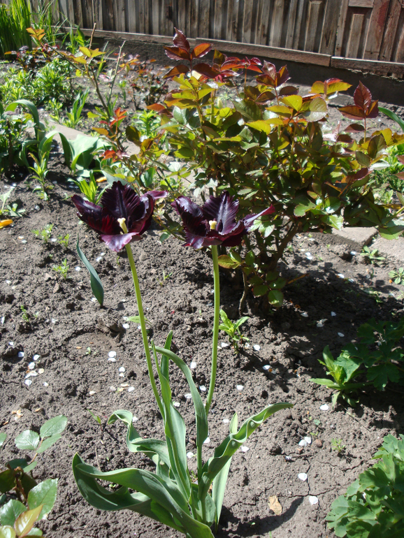 Гостим в Кировограде