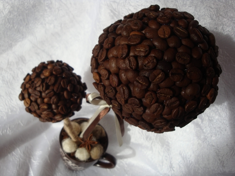 Новые кофейные деревца после долгого перерыва